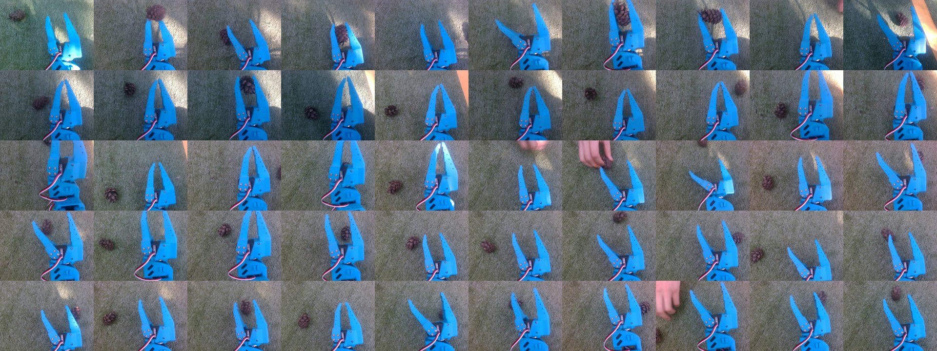 The first camera frame of each of the 50 recorded grabs